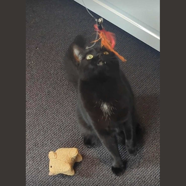 Photo of Amy & Declan