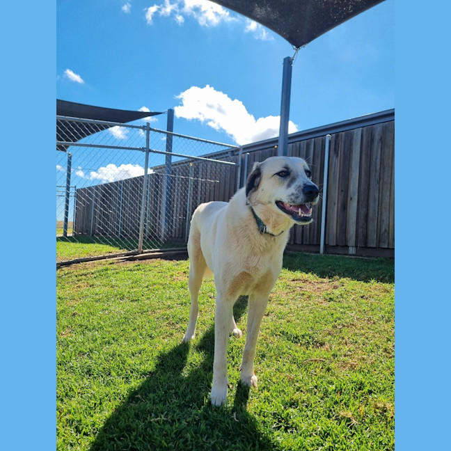 Photo of Dorothy 