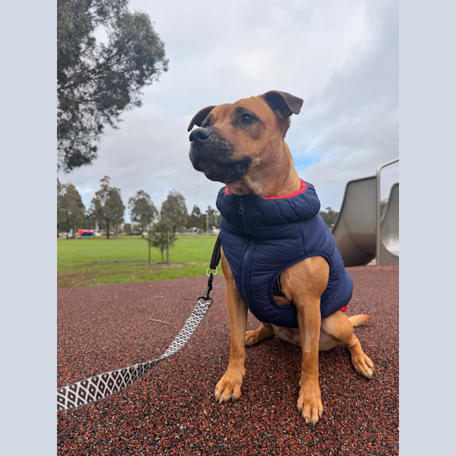 Photo of Zara