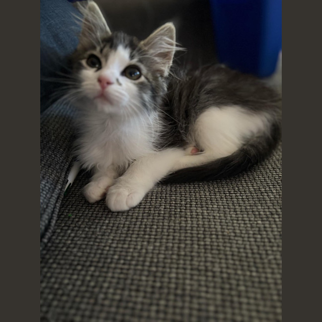 Photo of Bruce And Macey