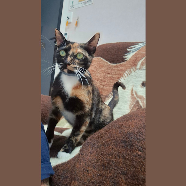 Photo of Faye (8925)