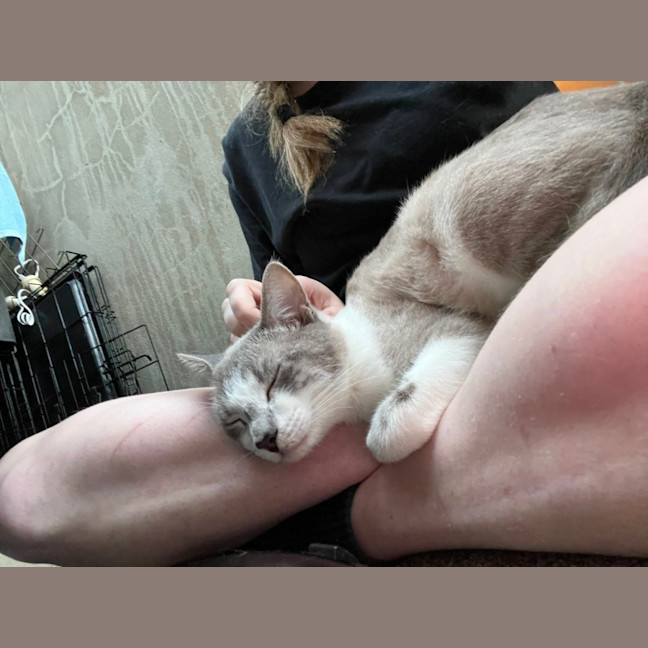 Photo of Ghosty