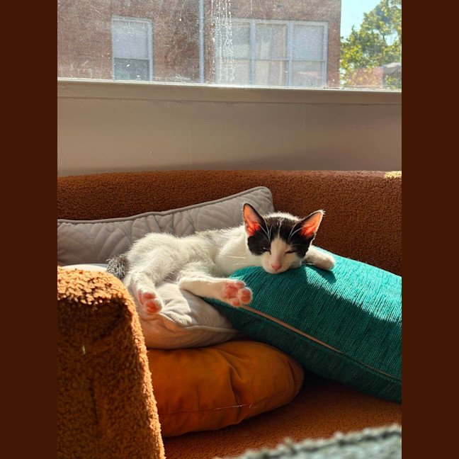 Photo of Benny