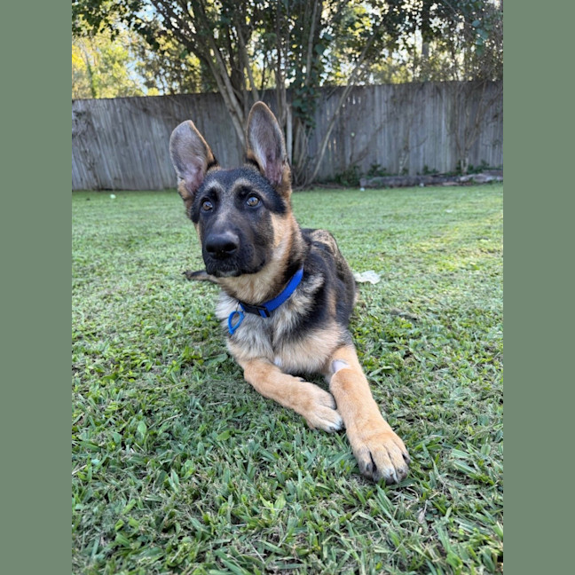 Photo of Grady