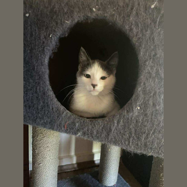 Photo of Hazel