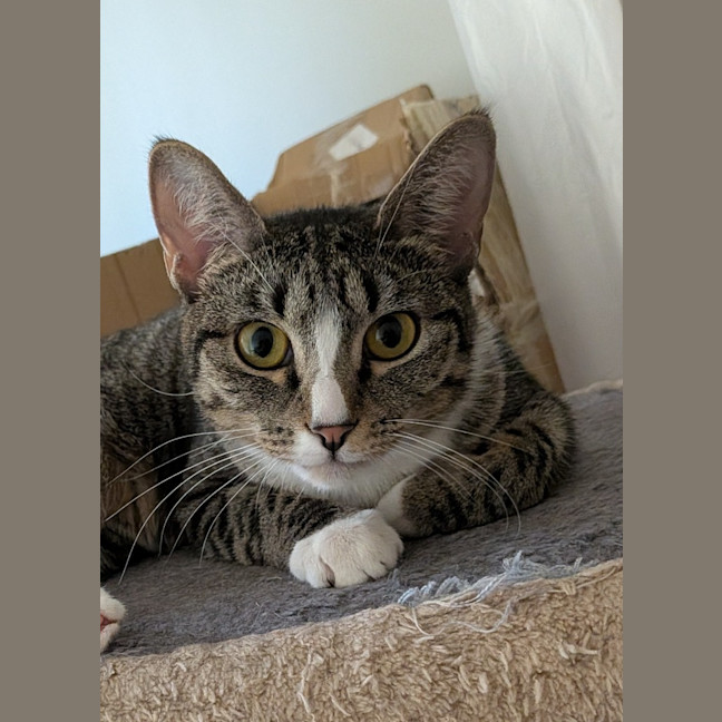 Photo of Dolly