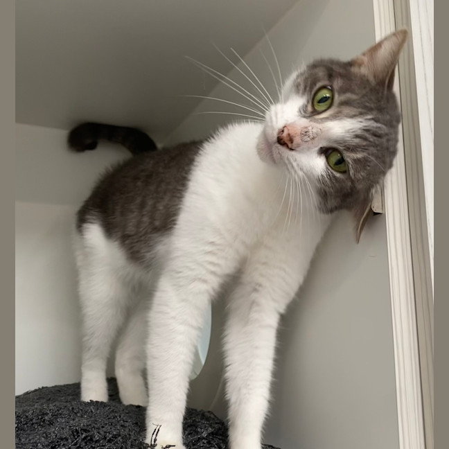 Photo of Heidi