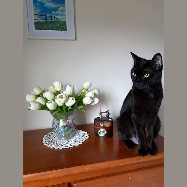 Photo of Penny