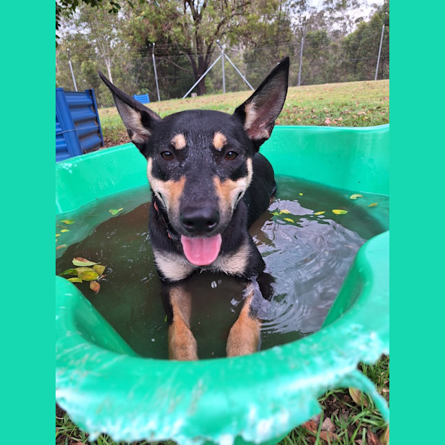 Photo of Roxi