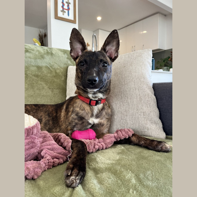 Photo of Tivah