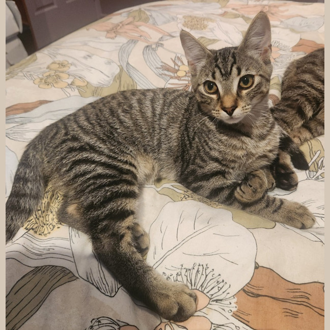 Photo of Martin   In Foster Care In Templestowe 