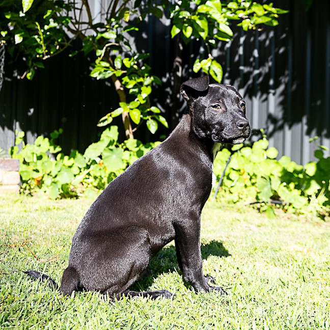 Photo of Lumen