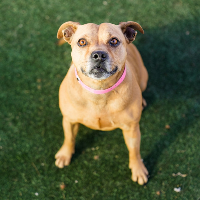 Photo of Molly Imp 1419