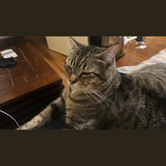 Photo of Lily