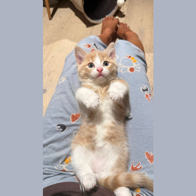 Photo of Maui & Wowie