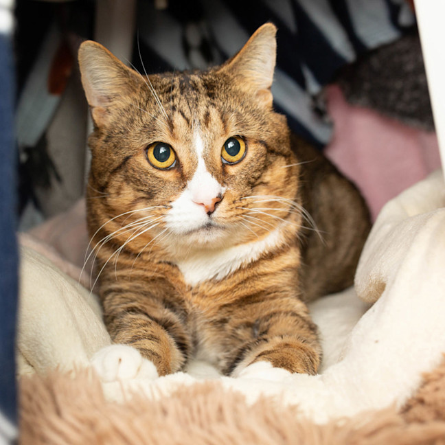 Photo of Buddy