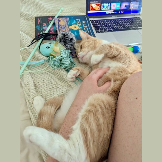 Photo of Peaches