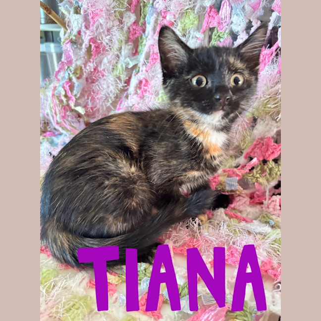 Photo of Tiana
