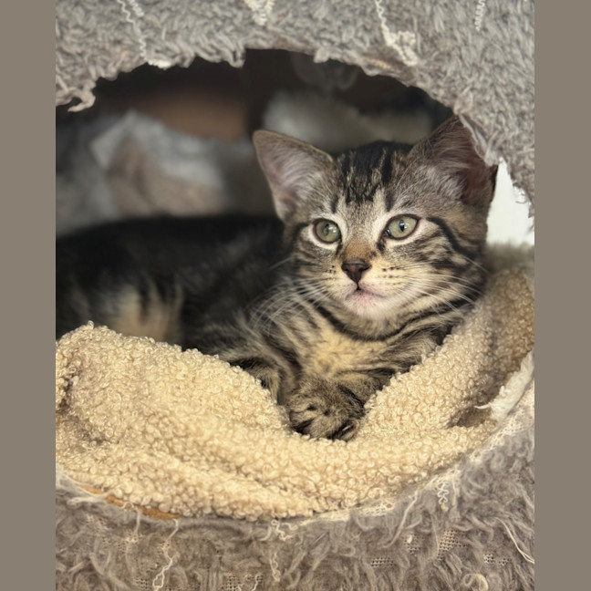 Photo of Huck
