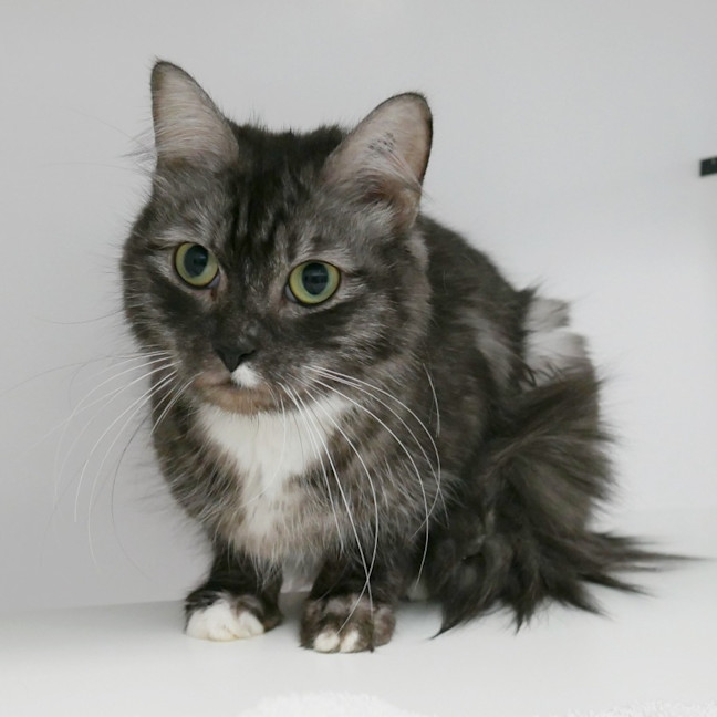 Photo of Kali Sua013099