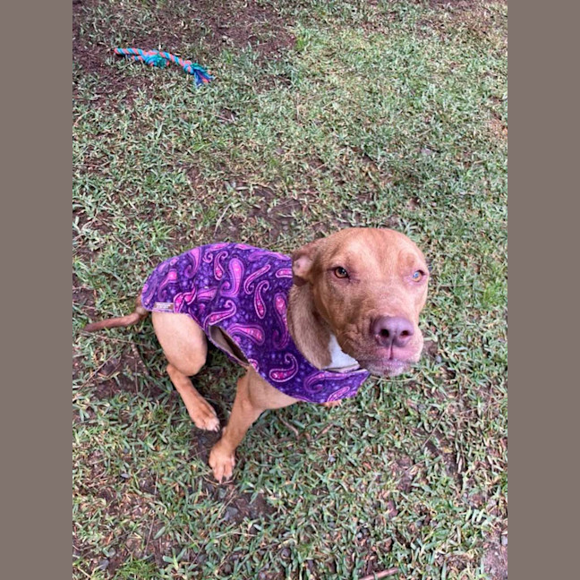 Photo of Maisy