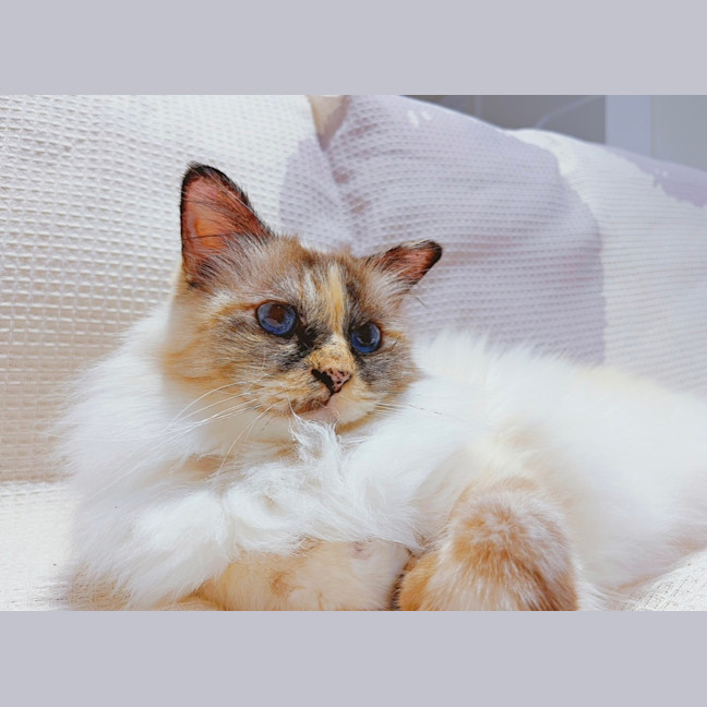 Photo of Miriam