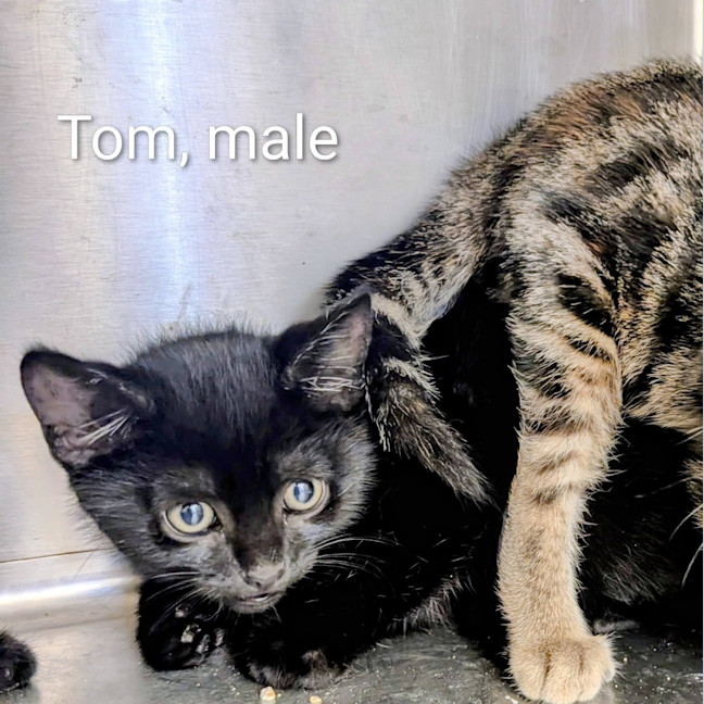 Photo of Tom