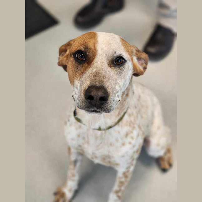 Photo of 🪐 Leonie 5464 🪐