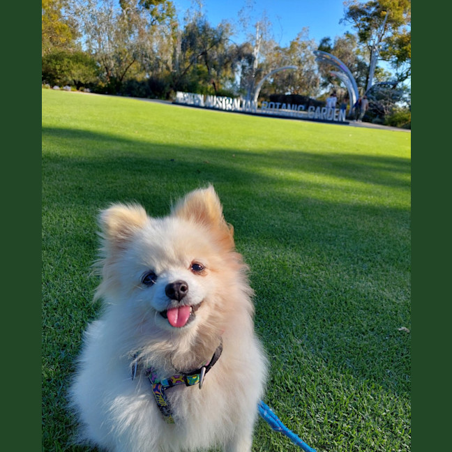 Photo of Princess