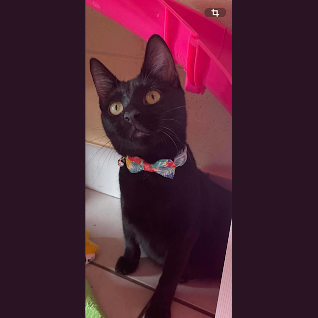 Photo of Molly