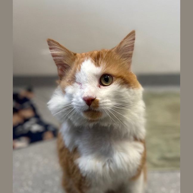 Photo of Bernie