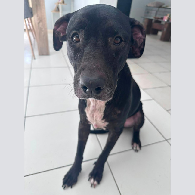 Photo of Roxy