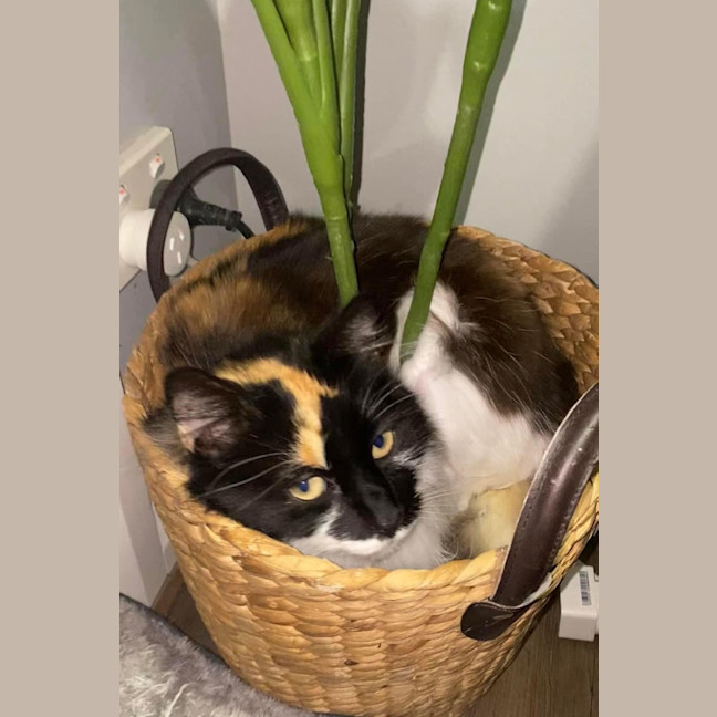 Photo of Dolly Purrton