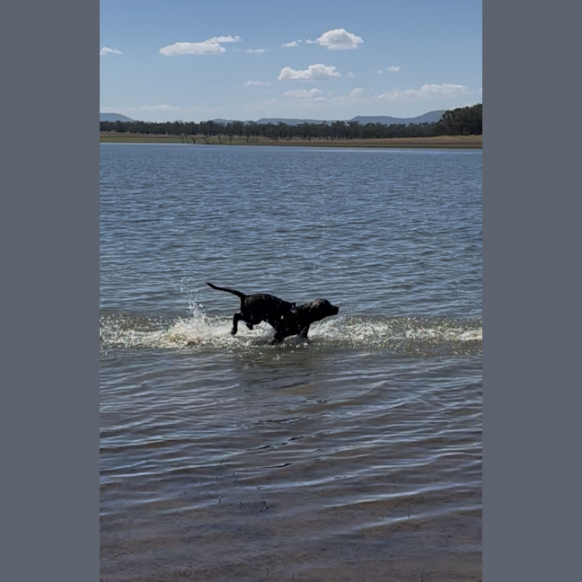 Photo of Lucy