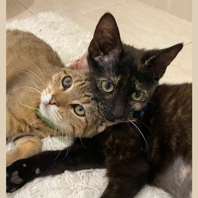 Photo of Malak And Ishmael