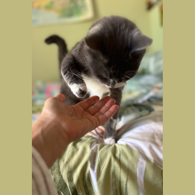 Photo of Stormy