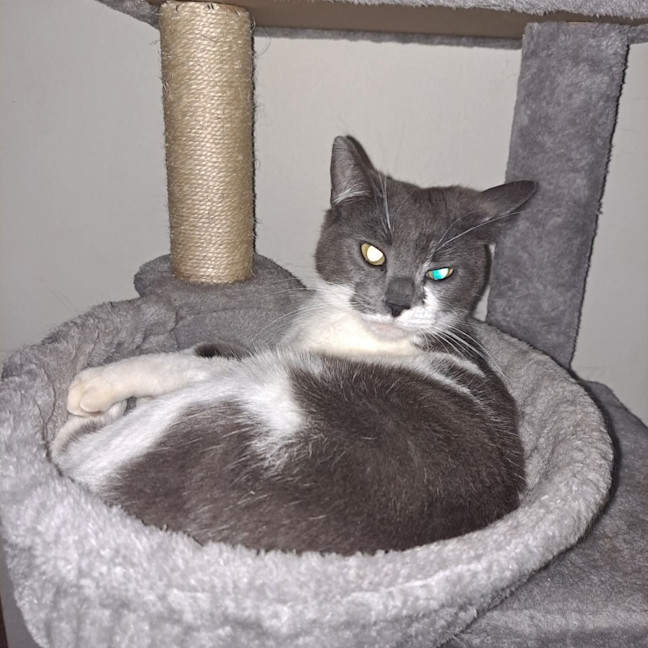 Photo of Missy