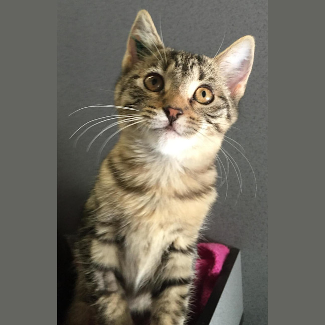 Photo of Lucy