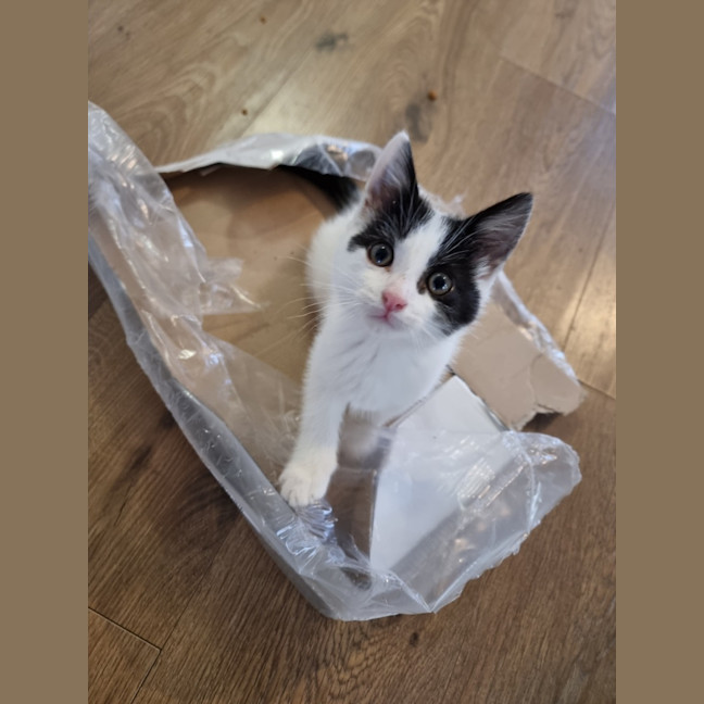 Photo of Eddie & Cherry 