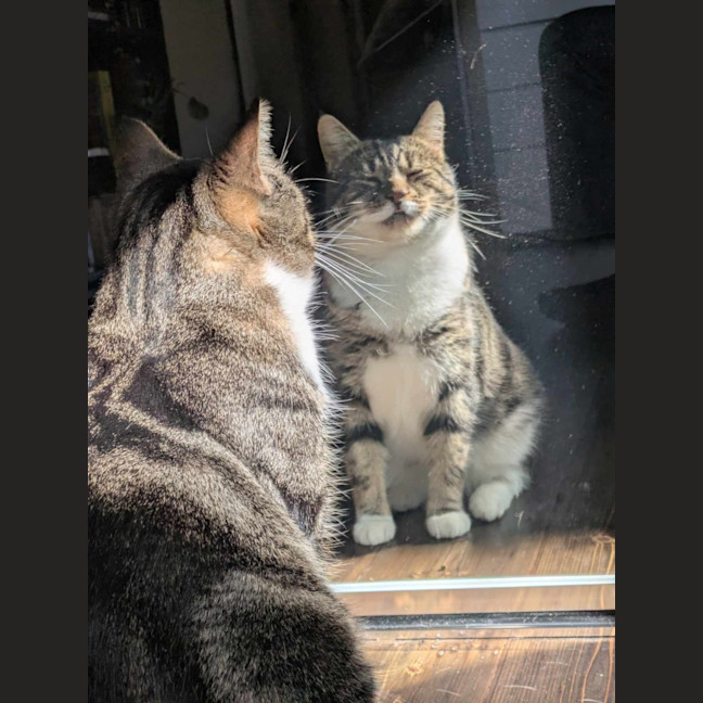 Photo of Tokyo & Miso 