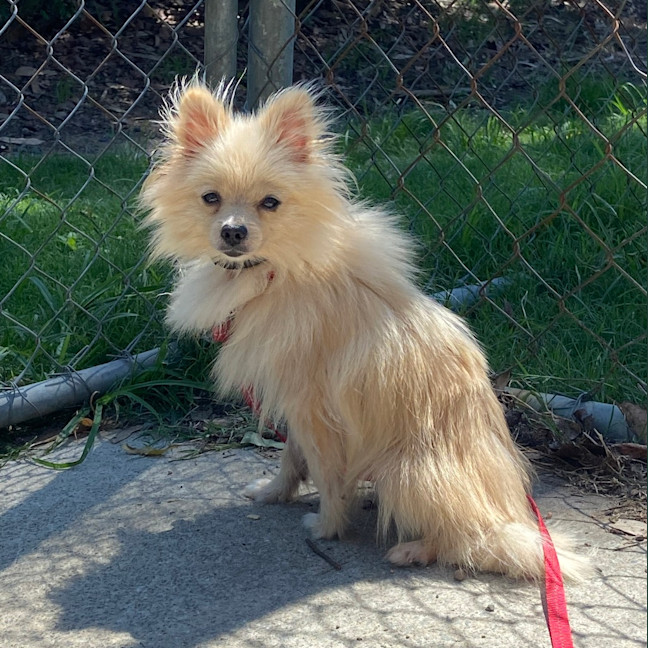 Photo of Minnie