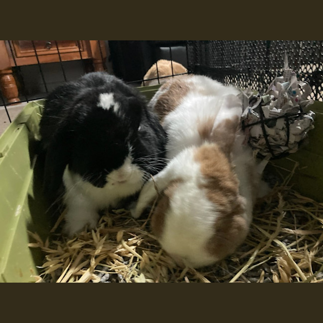 Photo of Aluna & Abby