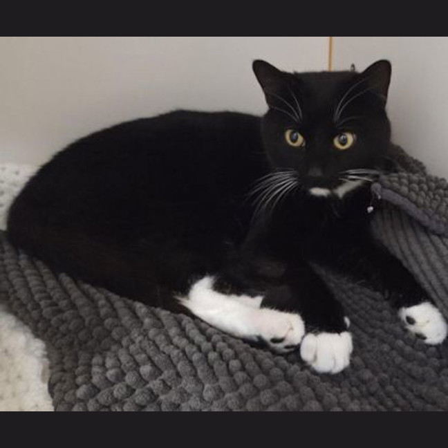 Photo of Gunther