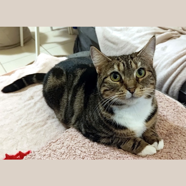 Photo of Bonnie Sta014805