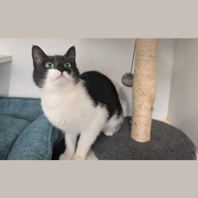 Photo of Sprout