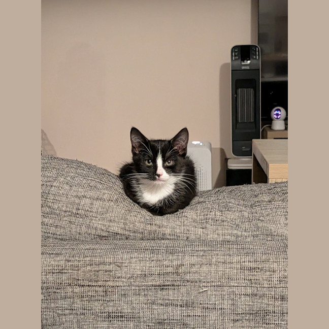 Photo of Nigel