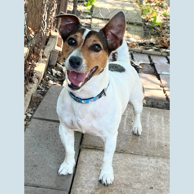 Photo of Jack