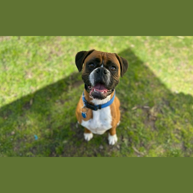 Photo of Toto