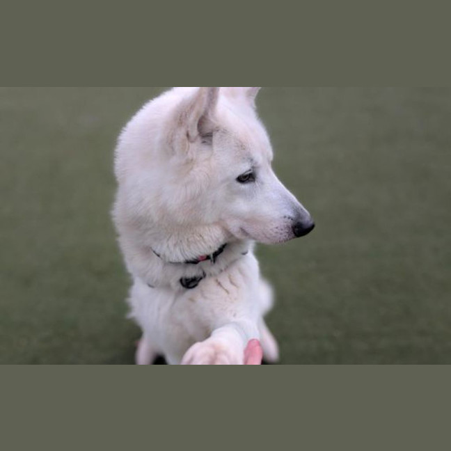 Photo of Storm