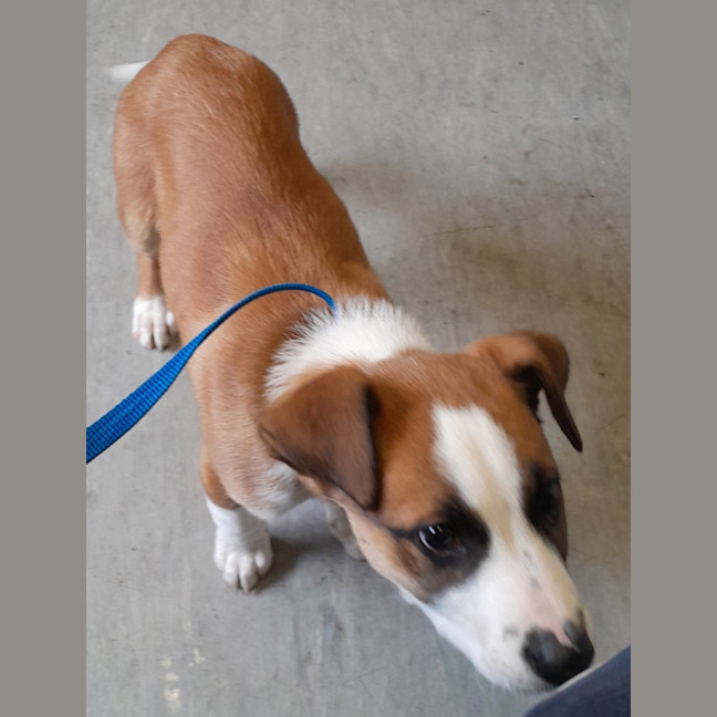 Photo of Rogue (Tuff)